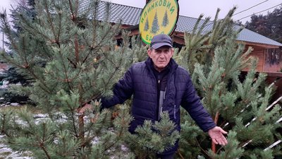 Ціни на ялинки у Харківській області не змінилися: в яких лісгоспах можна купити дерево Ціни на ялинки у Харківській області не змінилися: в яких лісгоспах можна купити дерево