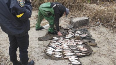 На Черкащині чоловіки незаконно наловили риби на понад 150 тисяч гривень
