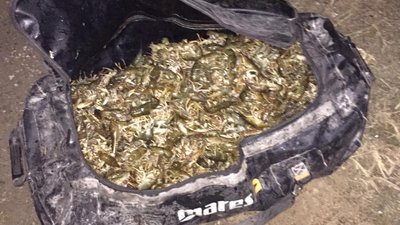1000 раків за один улов. На Миколаївщині правоохоронці виявили браконьєра 1000 раків за один улов. На Миколаївщині правоохоронці виявили браконьєра