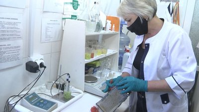 Чи є нітрати в овочах та фруктах на ринках у Тернополі Чи є нітрати в овочах та фруктах на ринках у Тернополі