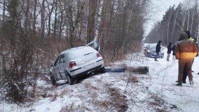 ДТП, смерть, дорога, поліція, Малинська громада