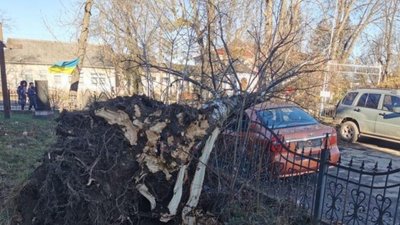 На Прикарпатті буревій зносить зупинки, дахи та дерева На Прикарпатті буревій зносить зупинки, дахи та дерева