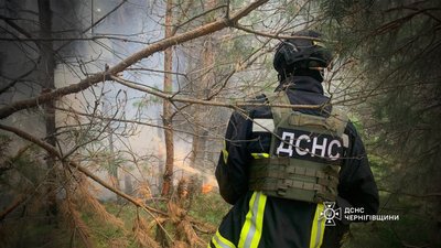 Пошкоджені підприємство та будинок: РФ атакувала Корюківський район
