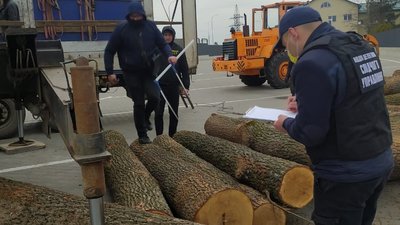 Незаконно вирубували ліс: на Вінниччині затримали злочинну групу Незаконно вирубували ліс: на Вінниччині затримали злочинну групу