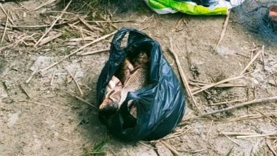 Виловив близько 15 кг риби. У Новомосковську на Дніпропетровщині затримали браконьєра