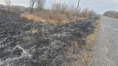 На Сумщині за тиждень гасили три масштабні пожежі в екосистемах - ДСНС На Сумщині за тиждень гасили три масштабні пожежі в екосистемах - ДСНС