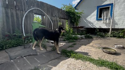 Повертаються після евакуації: що побачили жителі Тихого після ракетного удару поблизу Прилук Повертаються після евакуації: що побачили жителі Тихого після ракетного удару поблизу Прилук