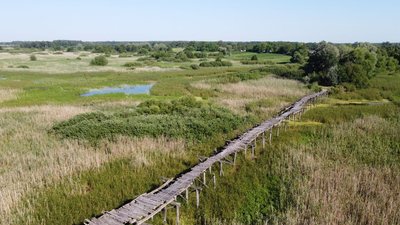 Міст в Каплинцях Міст в Каплинцях