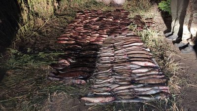 Нерестова кампанія – 2022: на Черкащині виявили понад пів тисячі порушень
