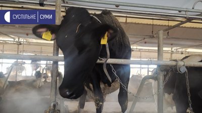 Навчатимуть молочного тваринництва. На Сумщині відкрили Центр дуальної освіти Навчатимуть молочного тваринництва. На Сумщині відкрили Центр дуальної освіти