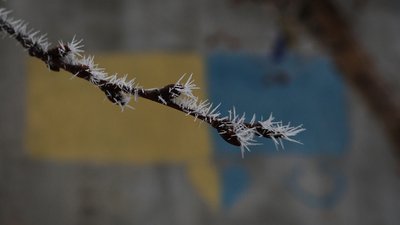 Херсон, погода, природа, зима 