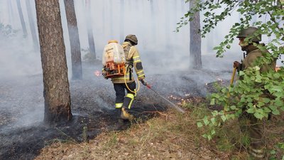 лісова пожежа лісова пожежа