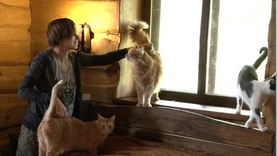 "Із автобуса дружно кричали коти" – харків'янка привезла до Черкас 70 тварин