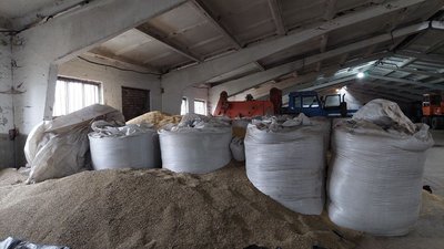 "Хліб для миру в Україні": на Львівщині реалізують українсько-італійський проєкт "Хліб для миру в Україні": на Львівщині реалізують українсько-італійський проєкт