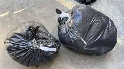 Евтаназія собак Евтаназія собак