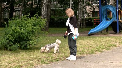 У Рівному і Квасилові розпочали безкоштовне щеплення домашніх котів і собак від сказу
