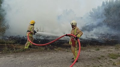 На Полтавщині склали майже 90 протоколів за випалювання трави