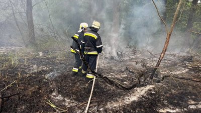 18 травня: на Хортиці у Запоріжжі сталася пожежа