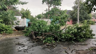 Херсоном пронеслась негода: повалені дерева, транспортні затори, затоплені вулиці Херсоном пронеслась негода: повалені дерева, транспортні затори, затоплені вулиці