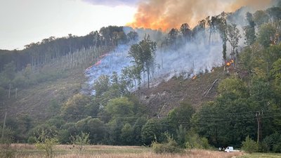 Лісову пожежу поблизу села Сасівка на Закарпатті повністю ліквідували
