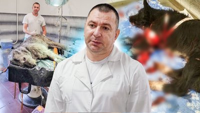 Олександр Кочерженко ветеринар Південне