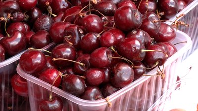 Здешевшала втричі: на рівненських ринках почали продавати черешню із Закарпаття Здешевшала втричі: на рівненських ринках почали продавати черешню із Закарпаття