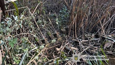 На Полтавщині виявили тіло 69-річного чоловіка у водоймі