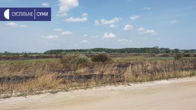 сморід суми сморід суми