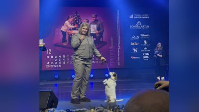 Пса-реабілітолога із Запоріжжя відзначили нагородою "Собака-герой України"