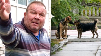 Місцевий житель та безпритульний пес у Новоселицькій громаді