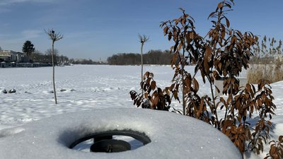 сніг, набережна