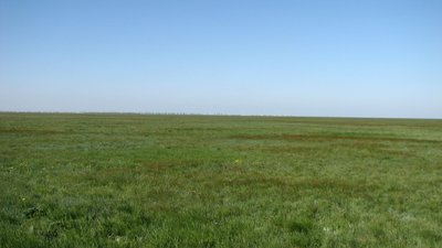 В Асканії-Нова на Херсонщині з'явився власний "Байрактар" В Асканії-Нова на Херсонщині з'явився власний "Байрактар"