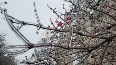 У вихідні сніжитиме: якою чекають погоду на Рівненщині найближчими днями