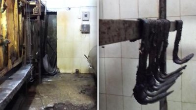 На підприємстві, яке постачало м'ясо до хмельницьких шкіл, садочків та лікарень, виявили стафілокок