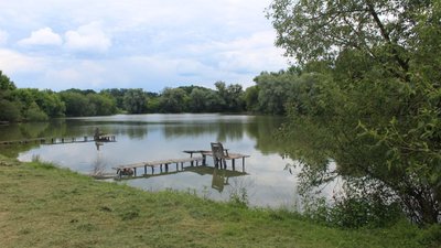 Боєприпаси в ставу: рятувальники дістали артснаряди з водойми біля Тростянця на Сумщині Боєприпаси в ставу: рятувальники дістали артснаряди з водойми біля Тростянця на Сумщині