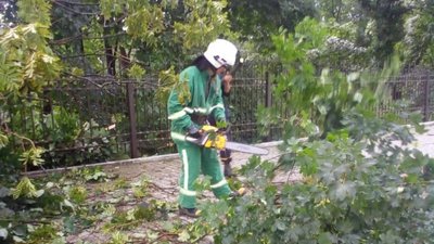 Повалені дерева та пошкоджені будівлі: наслідки негоди на Франківщині Повалені дерева та пошкоджені будівлі: наслідки негоди на Франківщині