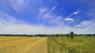 Українці назвали три головні складові патріотизму