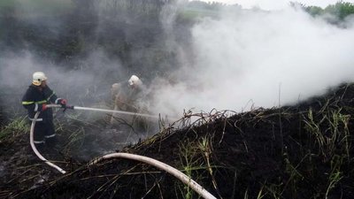 Горять очерети, суха трава, поля. На Дніпропетровщині за добу сталося 37 пожеж в екосистемах Горять очерети, суха трава, поля. На Дніпропетровщині за добу сталося 37 пожеж в екосистемах