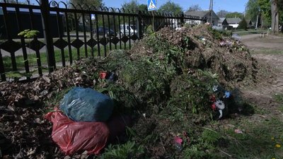 "Для наступних поколінь — це отрута": активіст з Новгород-Сіверщини пропонує заборонити продаж штучних квітів у громаді "Для наступних поколінь — це отрута": активіст з Новгород-Сіверщини пропонує заборонити продаж штучних квітів у громаді