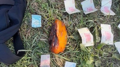 Камінь бурштину вагою майже 2 кілограми вилучили на Волині у жителя Рівненщини Камінь бурштину вагою майже 2 кілограми вилучили на Волині у жителя Рівненщини