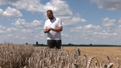 На Волині завершили обмолот ячменю, розпочали — озиму пшеницю На Волині завершили обмолот ячменю, розпочали — озиму пшеницю