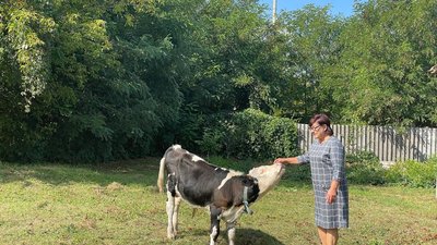"Виживаємо": як мешканці кількох прикордонних сіл Великописарівської громади чотири місяці живуть без електроенергії "Виживаємо": як мешканці кількох прикордонних сіл Великописарівської громади чотири місяці живуть без електроенергії