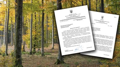 Чи будуть продавати необроблену деревину «Чернігівоблагролісу» через аукціон?