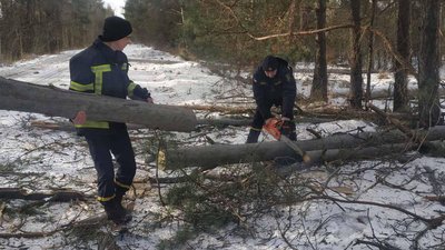Наслідки негоди: на Житомирщині рятувальники прибирали повалені вітром дерева Наслідки негоди: на Житомирщині рятувальники прибирали повалені вітром дерева