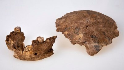 В Ізраїлі виявили новий вид стародавньої людини, який співіснував з Homo Sapiens