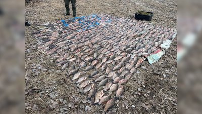 На майже 900 тисяч гривень: двоє жителів Чернігівщини сітками ловили рибу на Київському водосховищі На майже 900 тисяч гривень: двоє жителів Чернігівщини сітками ловили рибу на Київському водосховищі