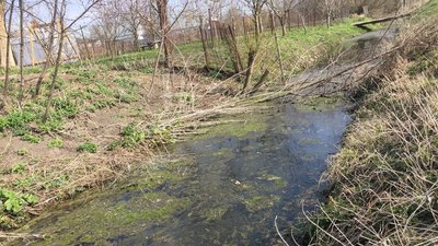 На Тернопільщині Держекоінспекція оштрафувала старосту села через забруднення стічного каналу