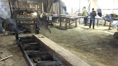 На Житомирщині викрили схему незаконного експорту оптових партій пиломатеріалів з дубу