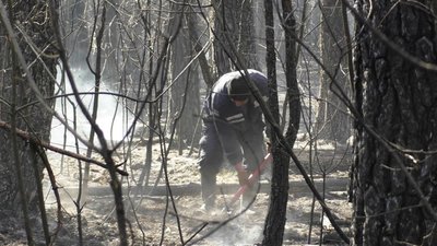 Пожежу біля села Сорокошичі Козелецького району локалізували Пожежу біля села Сорокошичі Козелецького району локалізували