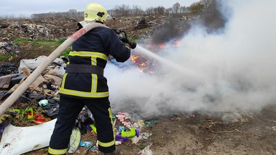 30 пожеж в екосистемах ліквідували рятувальники Київської області за добу 6 квітня